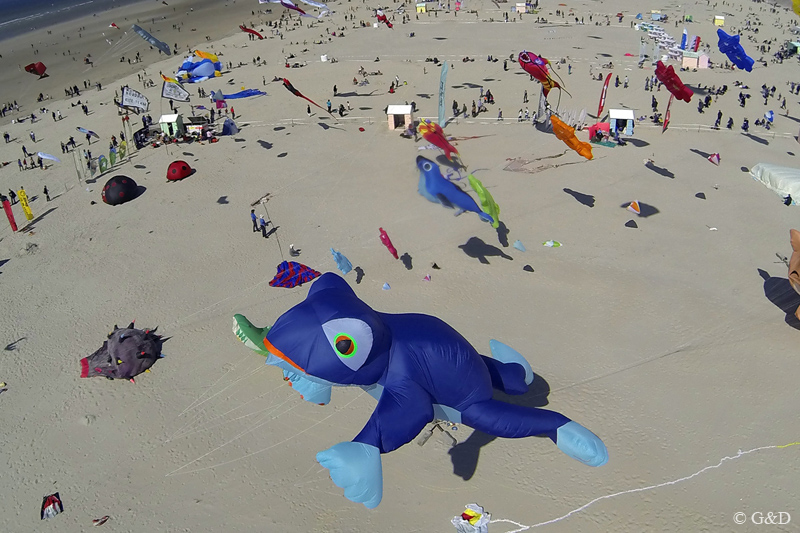 berck033