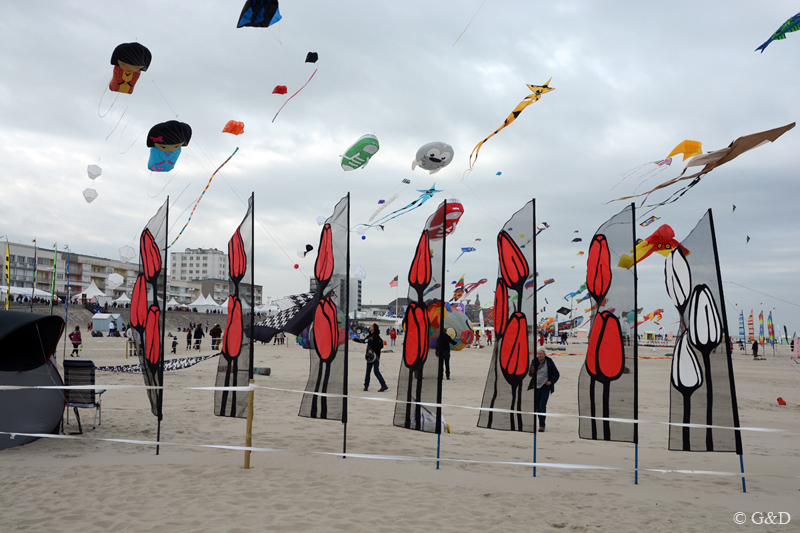 berck034