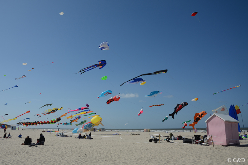 berck044