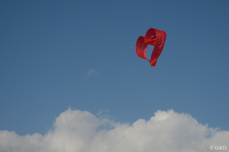 berck048