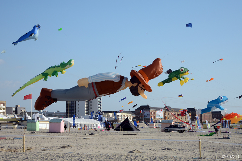 berck050