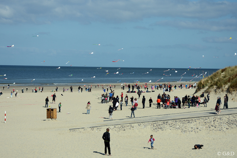 berck053
