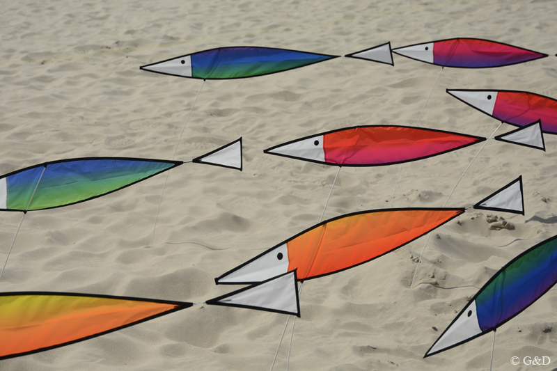 berck057