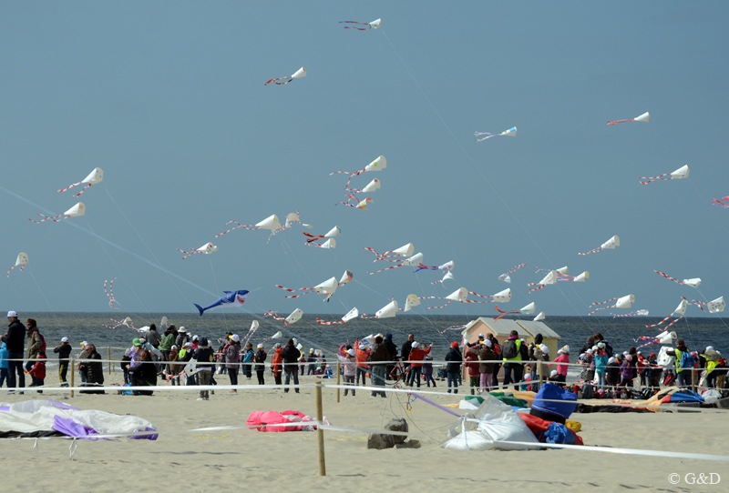 berck058
