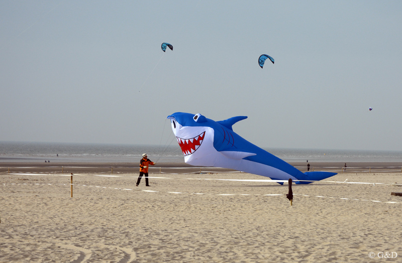 berck090