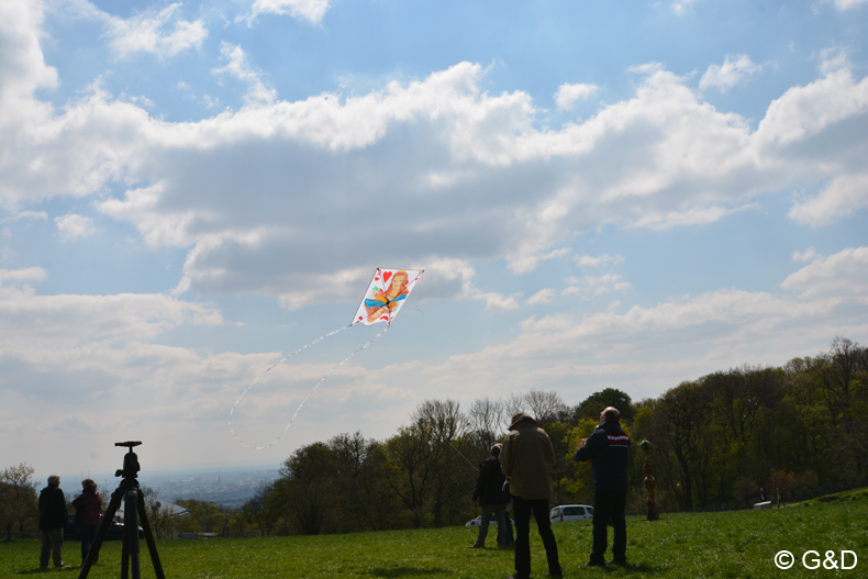 drachenflugfest_himmel070