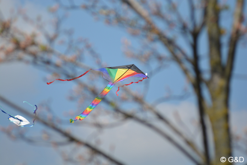 drachenflugfest_himmel078