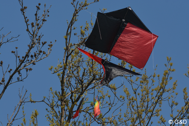 drachenflugfest_himmel080