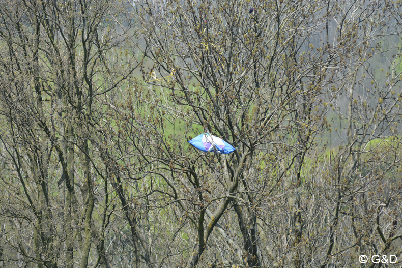 drachenflugfest_himmel089