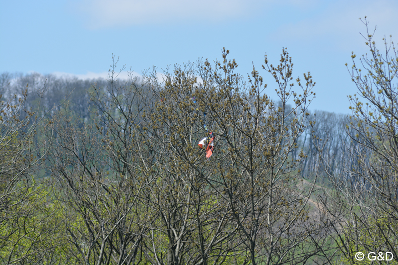 drachenflugfest_himmel091