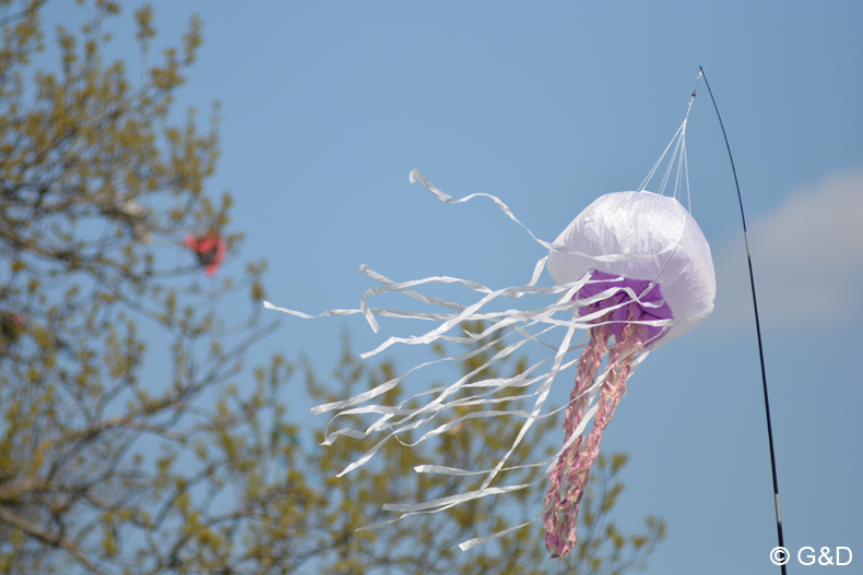 drachenflugfest_himmel097