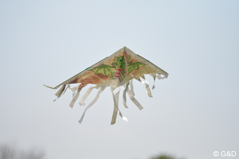drachenflugfest_himmel103