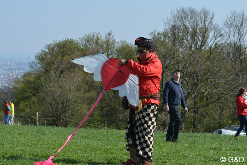 drachenflugfest_himmel119