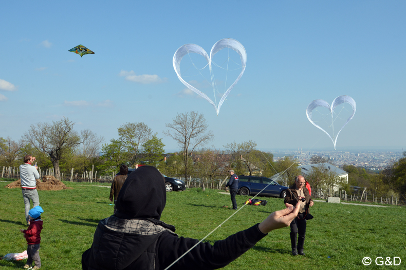 drachenflugfest_himmel121