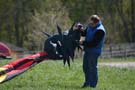 drachenflugfest_himmel038