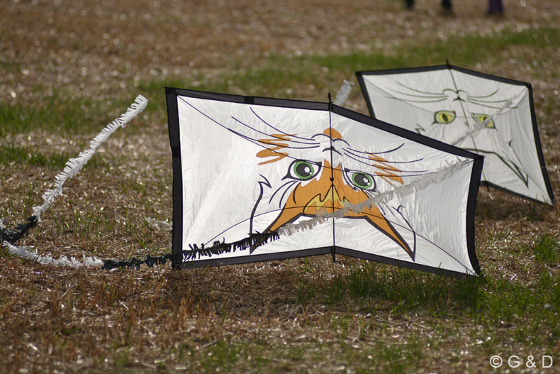 wurmannsquick_2015_007