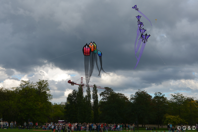 potsdam_2015_35