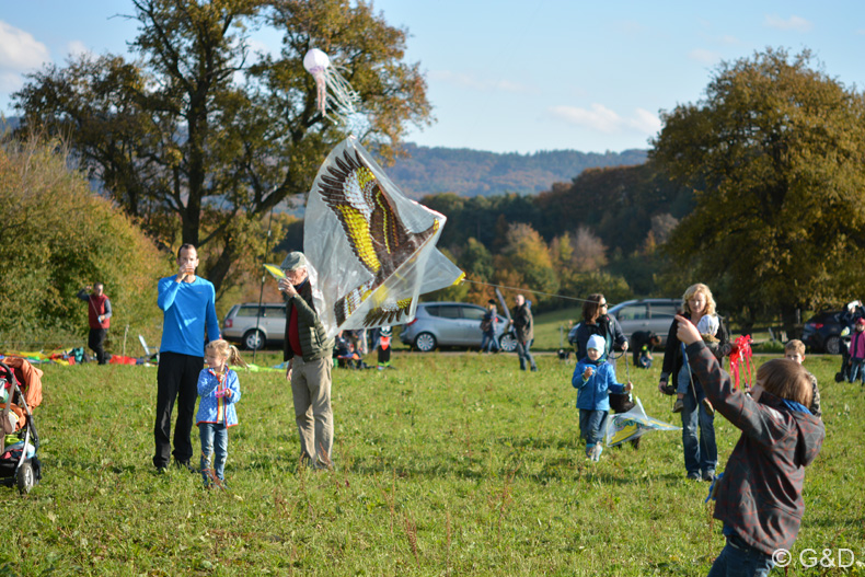 eichgraben_2016_36