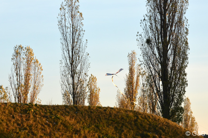 carnuntum_30