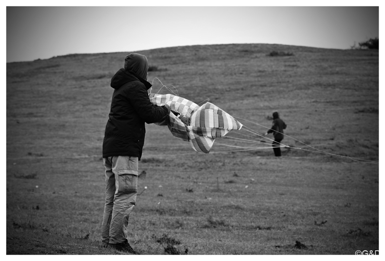 pakozd_2016_17