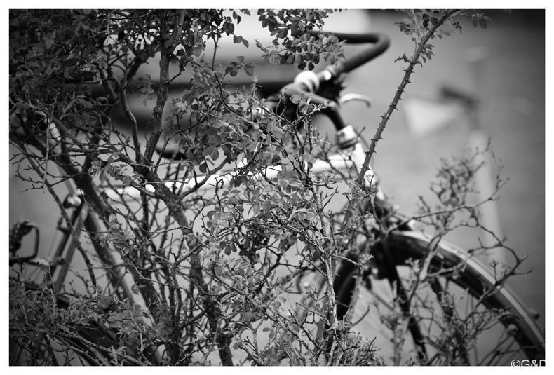 pakozd_2016_23