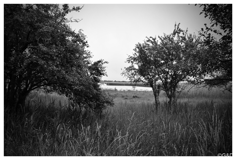 pakozd_2016_48