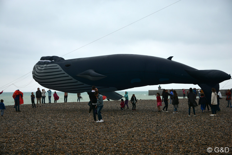 Dieppe_2016_209