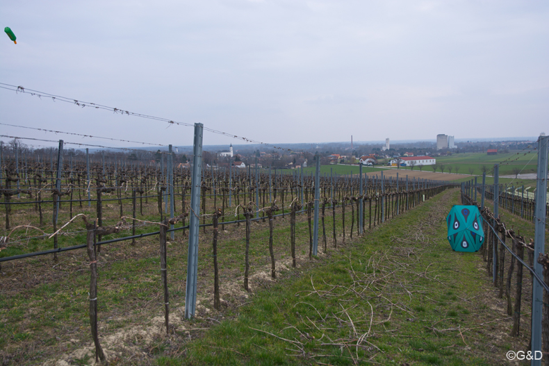 rochusberg027