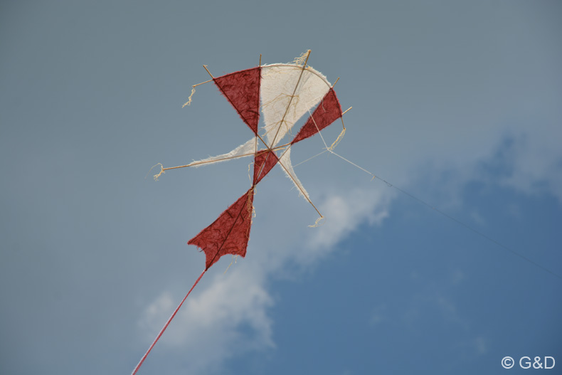 pakozd042