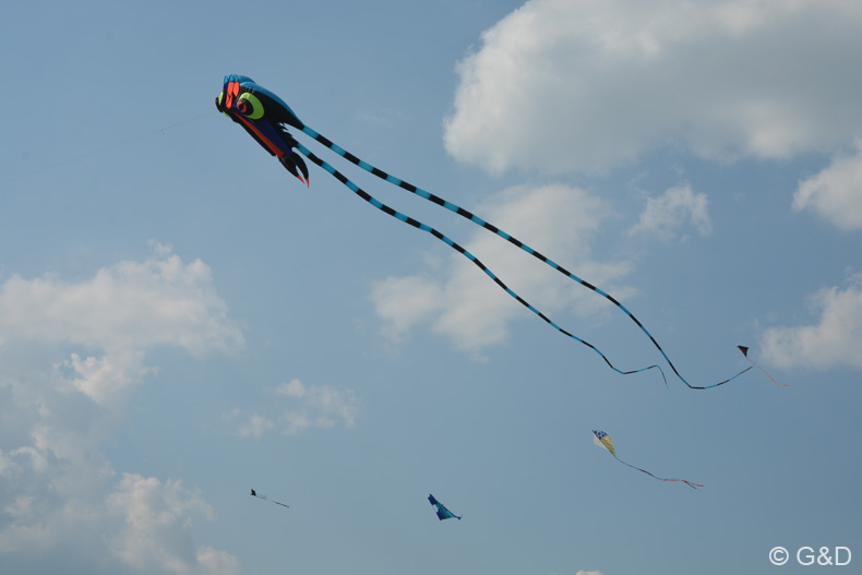 pakozd046
