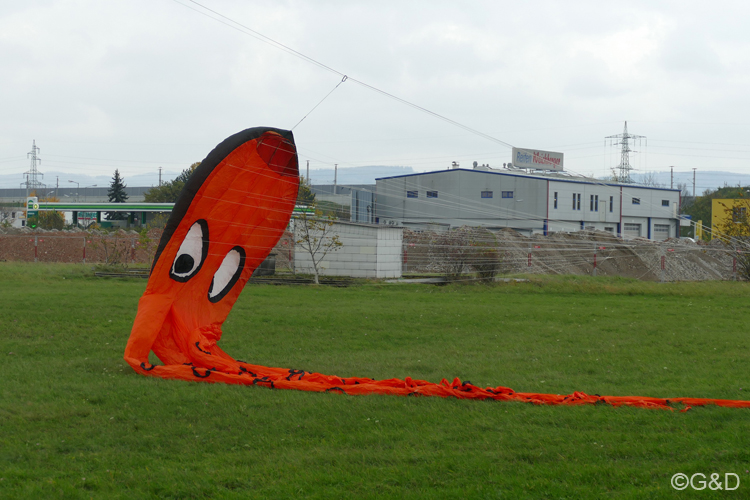 halloweenfliegen03