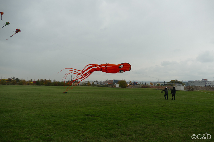 halloweenfliegen06