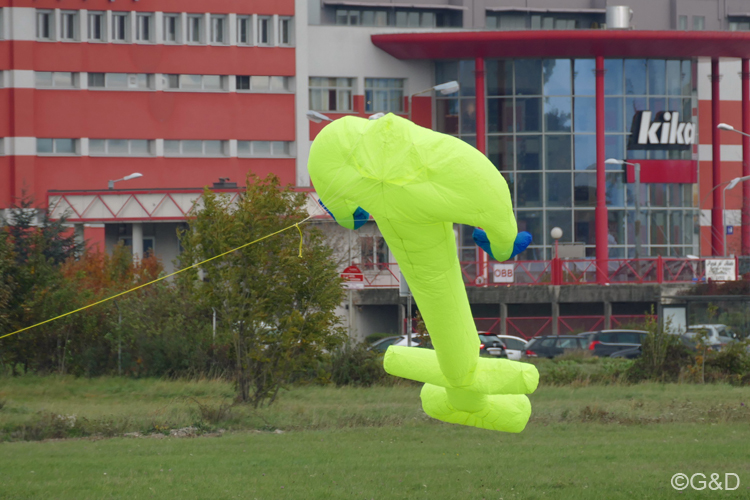 halloweenfliegen15