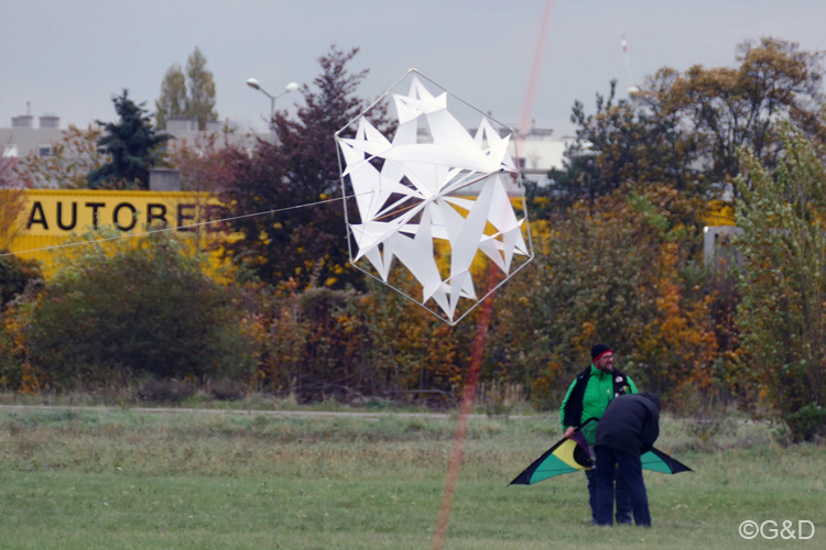 halloweenfliegen28