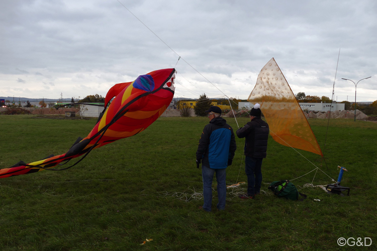 halloweenfliegen52