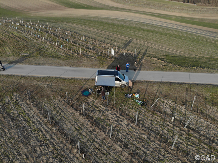 jungweinschnuppern10