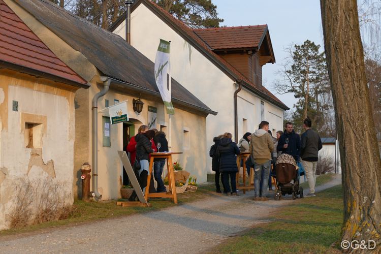 jungweinschnuppern24