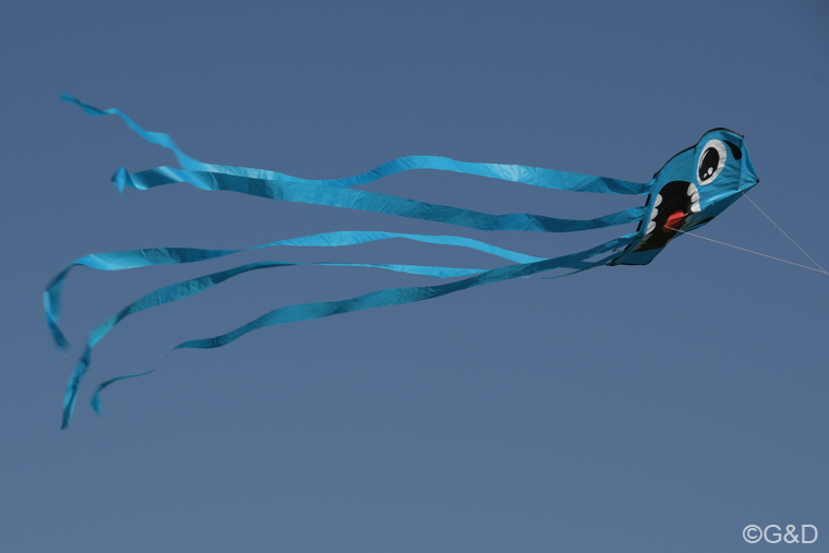 nitzing26