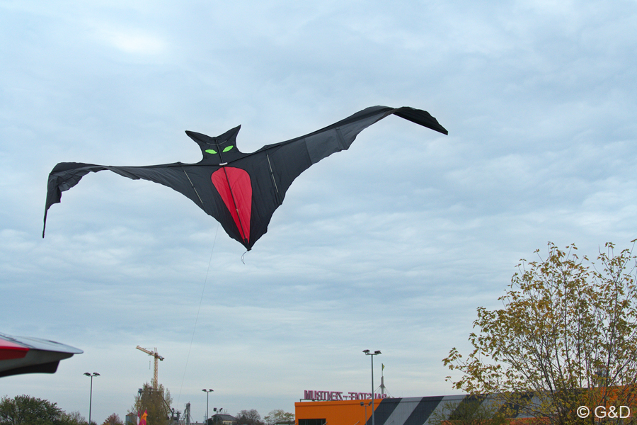 halloweenfliegen04
