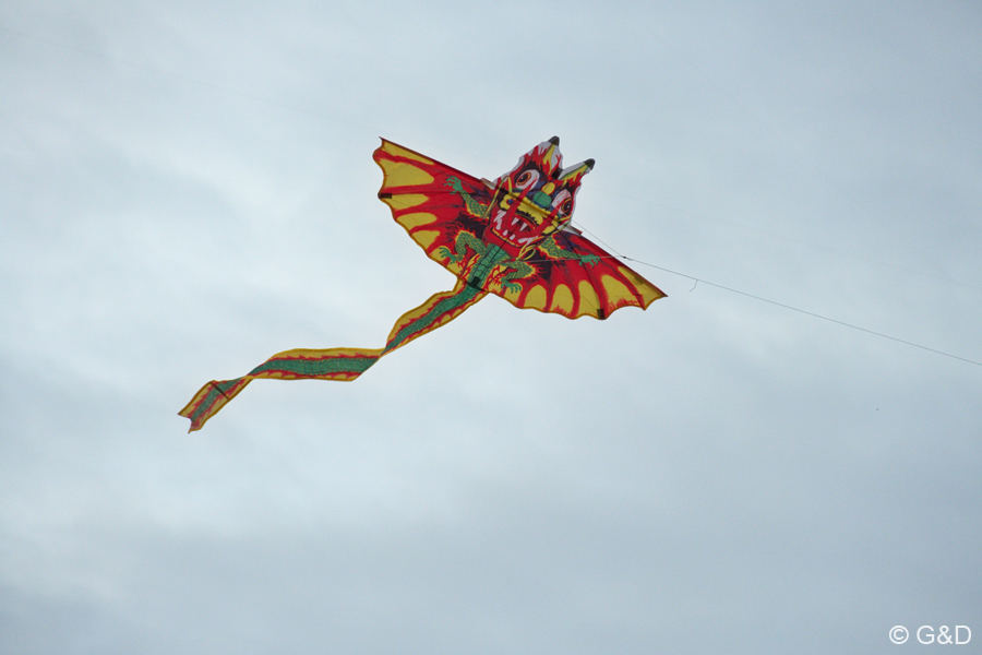 halloweenfliegen32