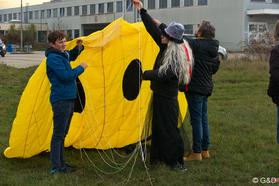 halloweenfliegen41