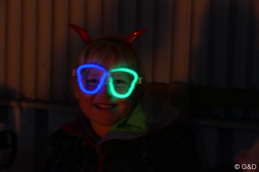 halloweenfliegen55