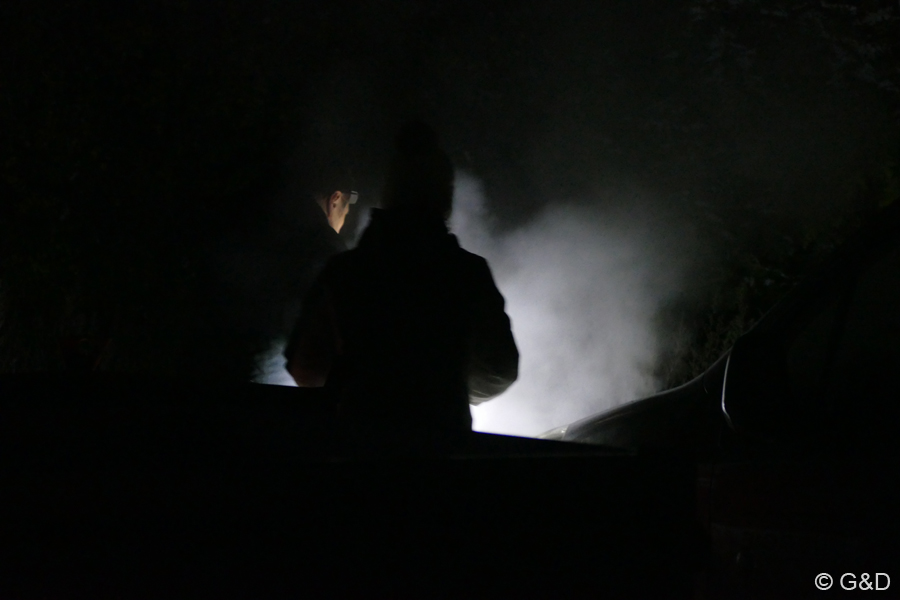 halloweenfliegen65