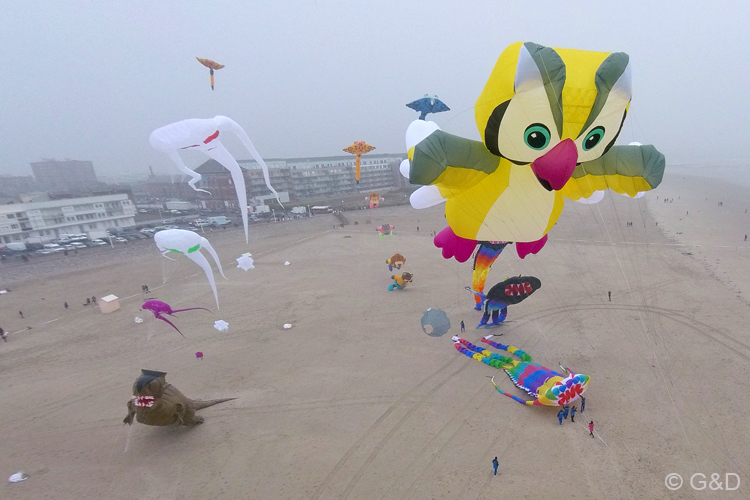 berck050