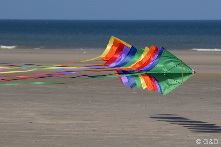 berck161