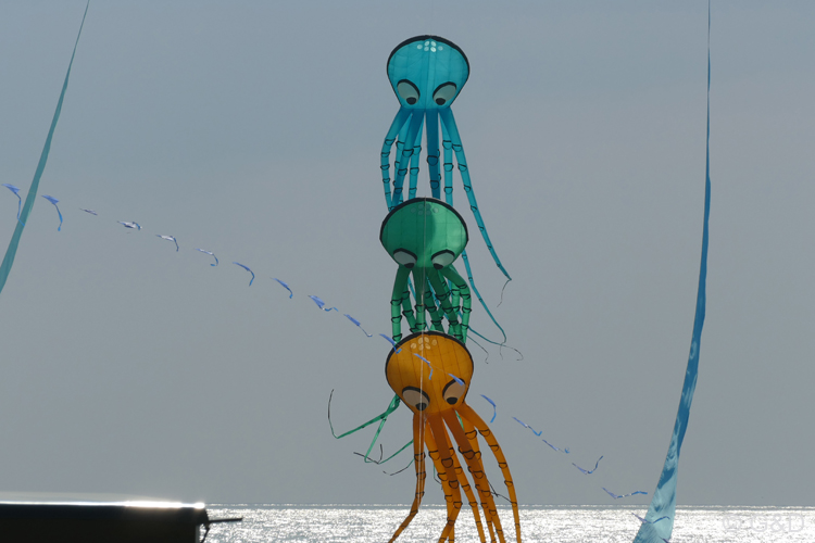 berck210