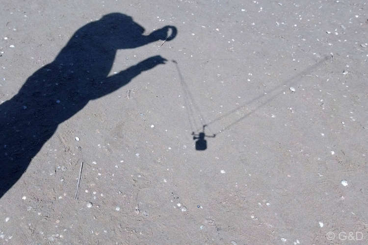 Cervia079