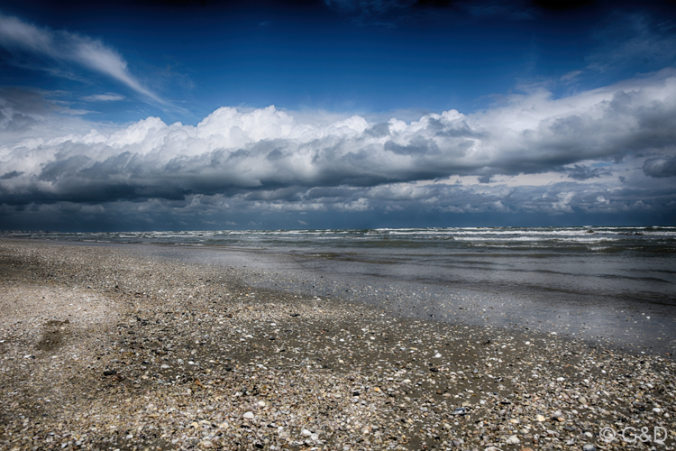 Cervia116