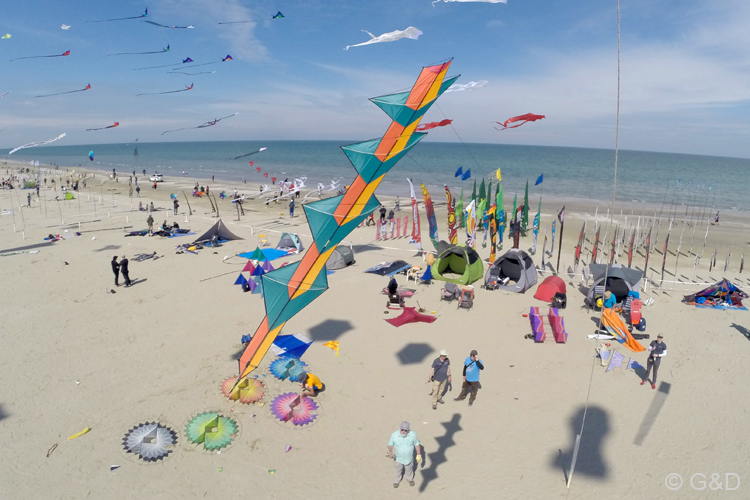 Cervia147