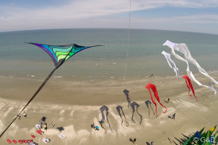 Cervia150